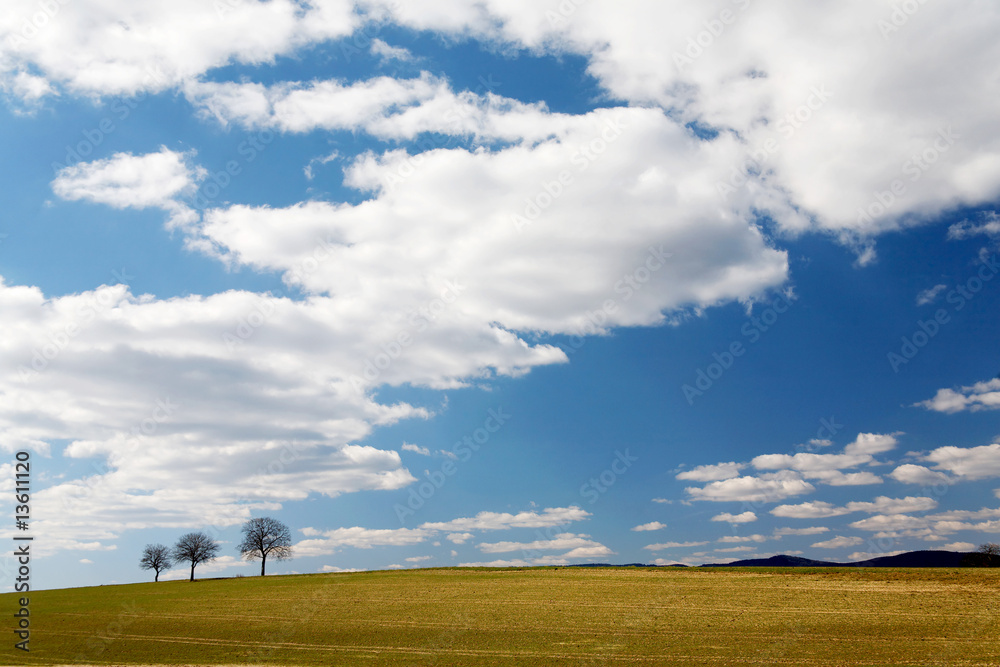 Fototapeta premium drei vor wolkenhimmel