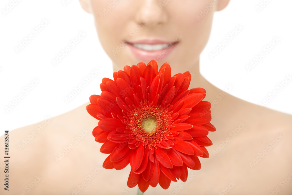 Red flower Red flower