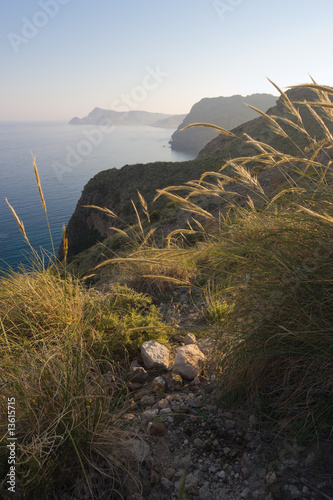 Paisaje de costa con contraluz  vertical 