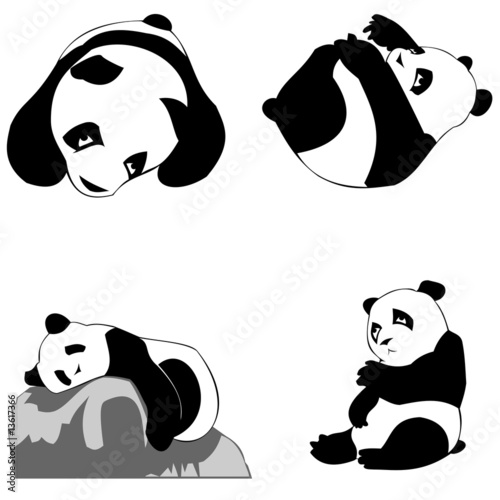 panda