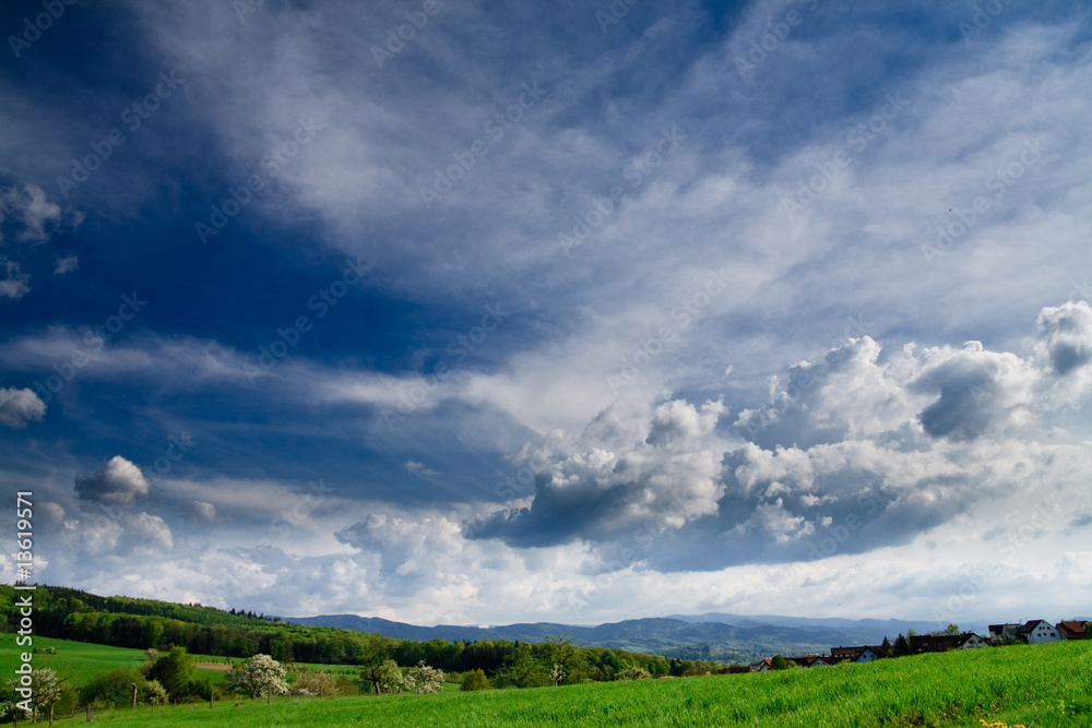 Spring landscape - green fields, the blue sky Spring landscape - green fields, the blue sky