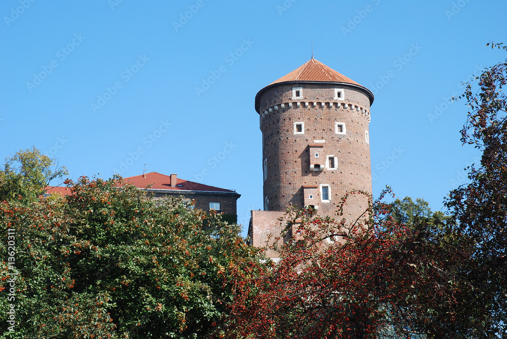 wieża, tower