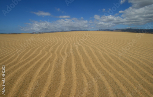 The Wonderful Dunes of Maspalomas.Spain