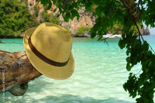 sea  beach  summer hat