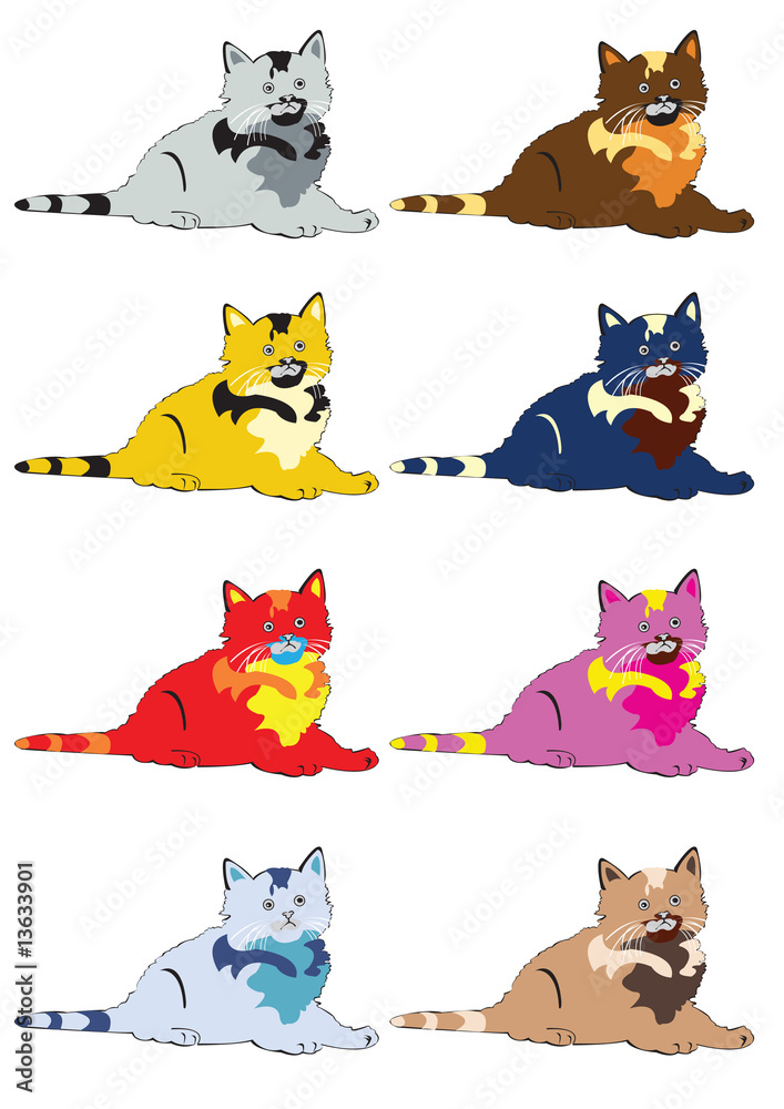 Cute cats Cute cats