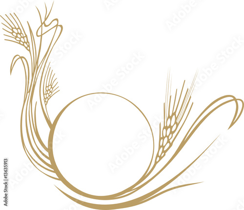 wheat ears