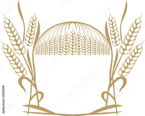 wheat ears