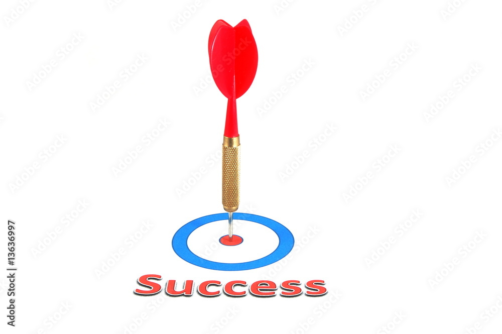 success concept with dart arrow