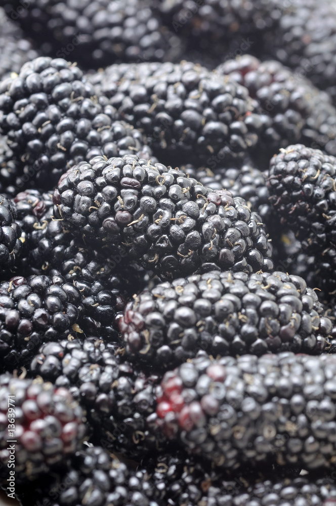 Blackberries background
