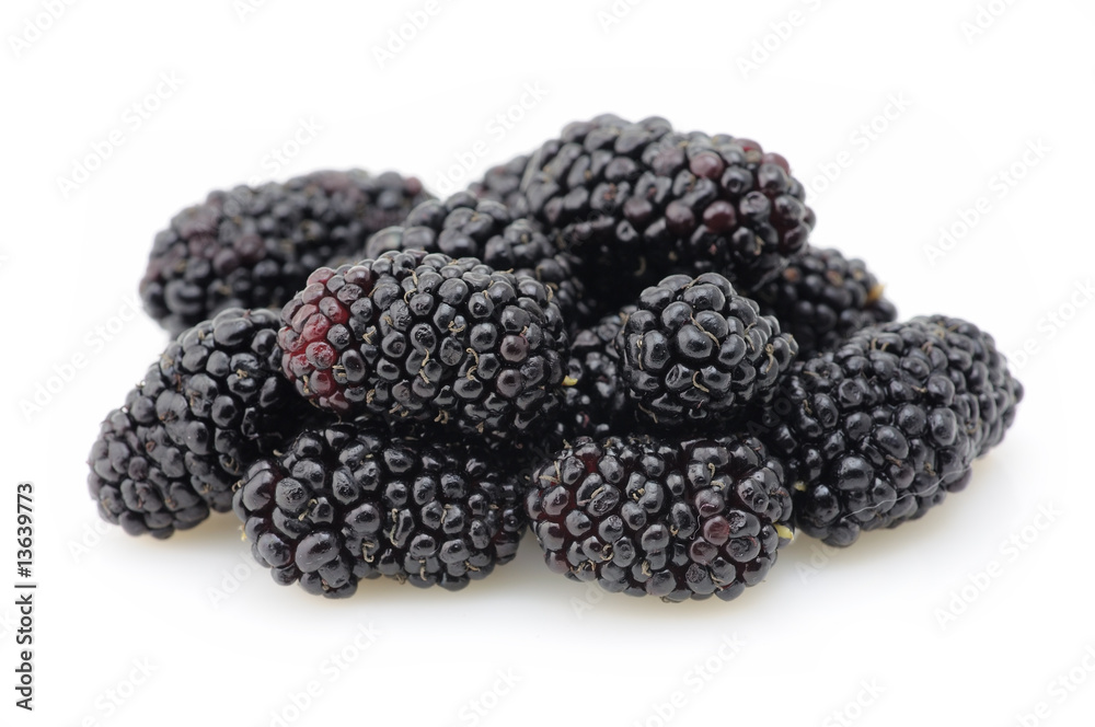 Blackberries closeup Blackberries closeup