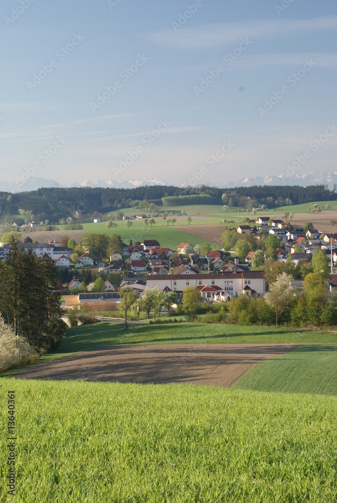 Ausblick Ausblick
