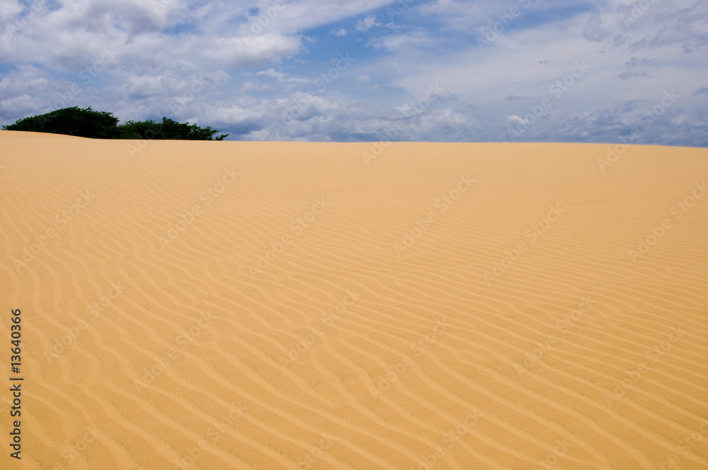 Naklejka premium Desert