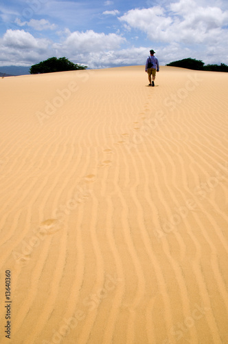 Desert with man going away