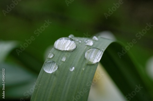 goutte d'eau 4