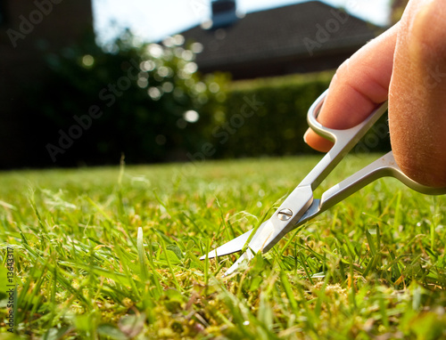 Tableau sur toile cutting lawn with nail scissors