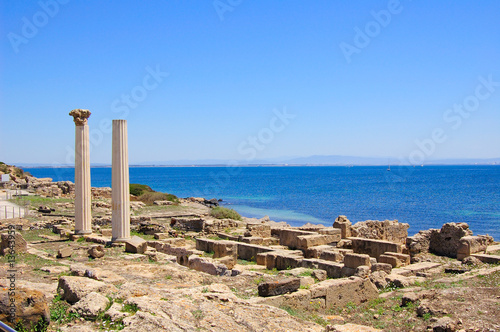 Tharros Romanic Colums photo