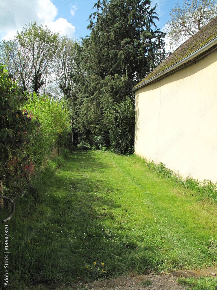 Obraz premium Allée de pelouse et mur clair.