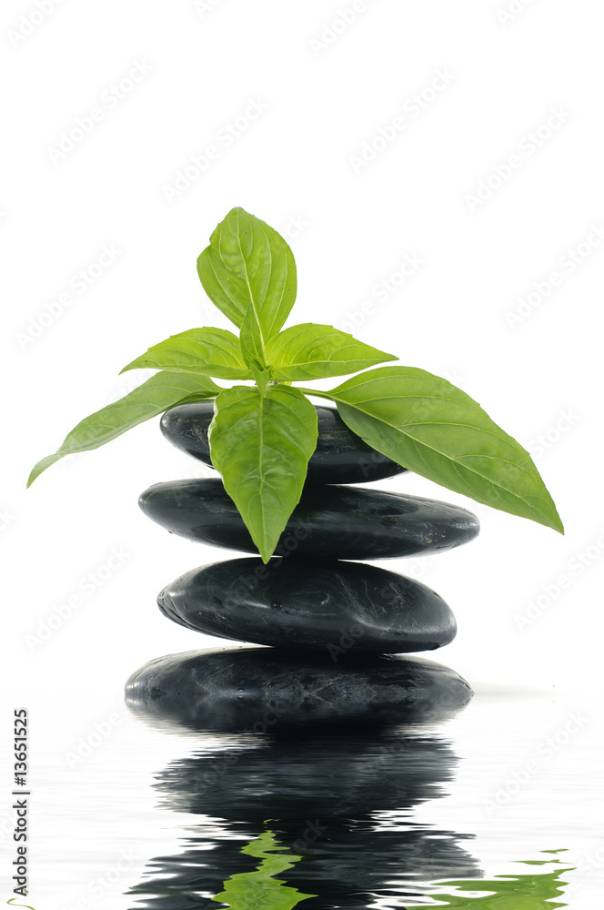 stack black stones with green leaf with reflection stack black stones with green leaf with reflection