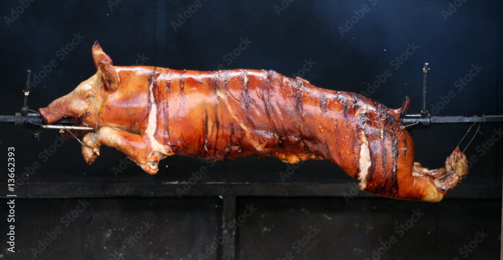 cochon,porc,sanglier,rotir,grillé,broche,griller Stock Photo | Adobe Stock