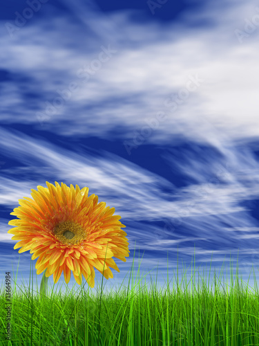 3D grass over a blue sky with a natural orange flower vertical