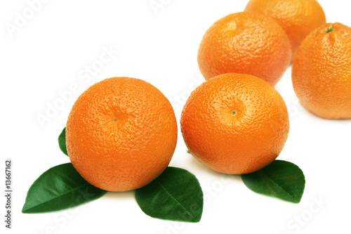 Tangerines.