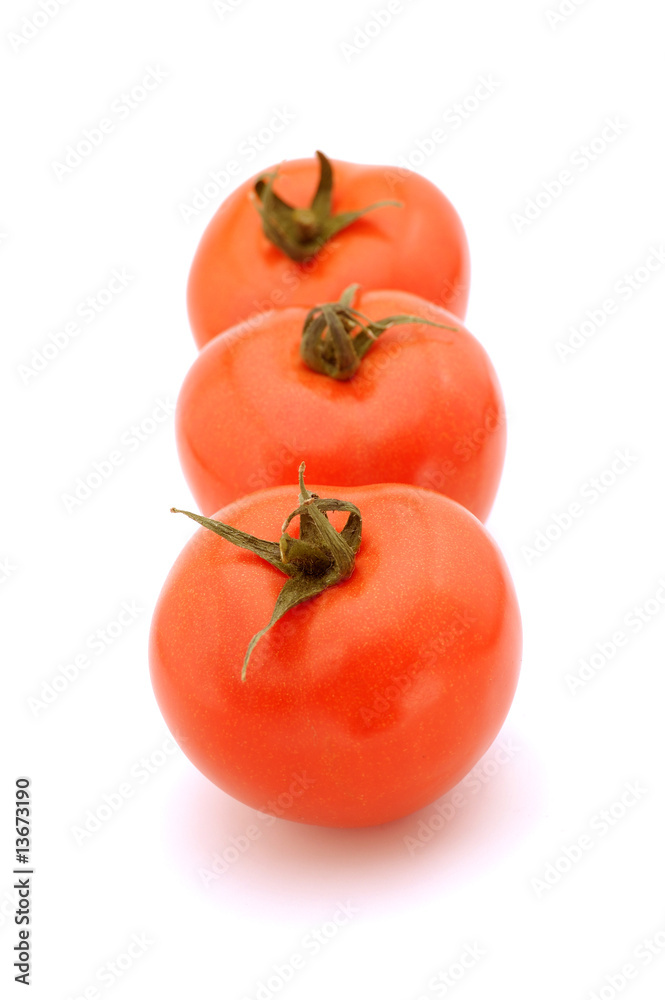 Row of tomato Row of tomato