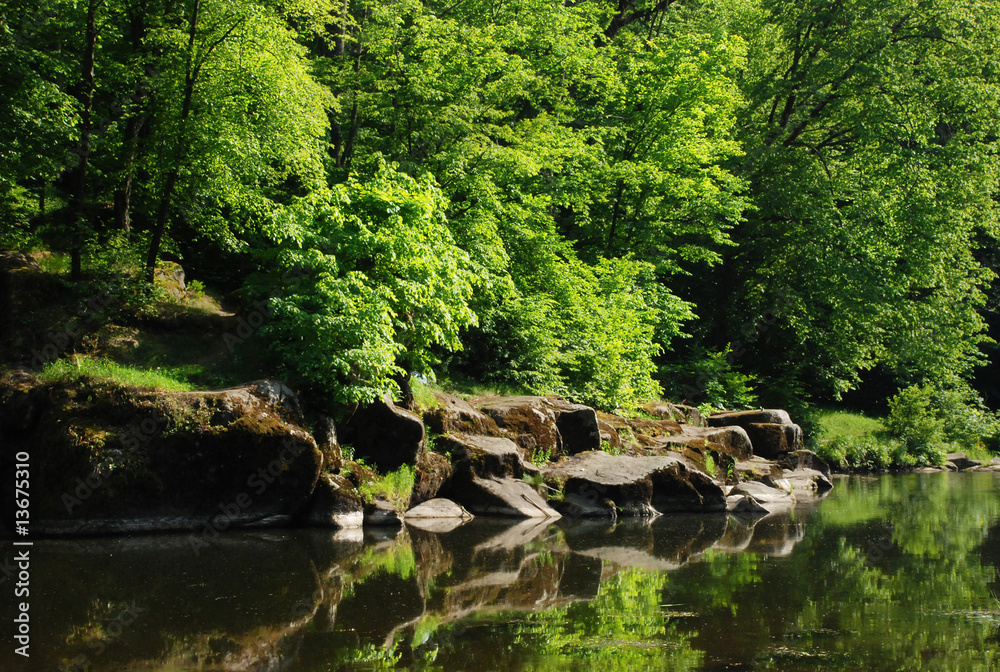 Green trees and stones on river bank