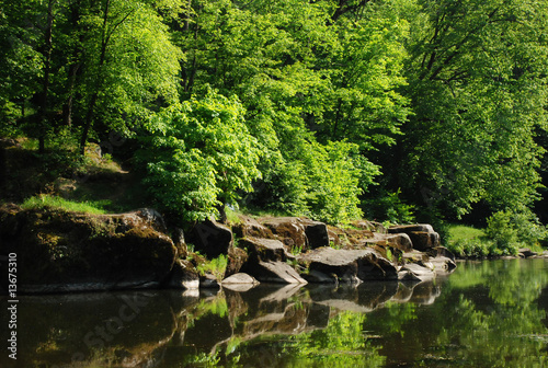Green trees and stones on river bank