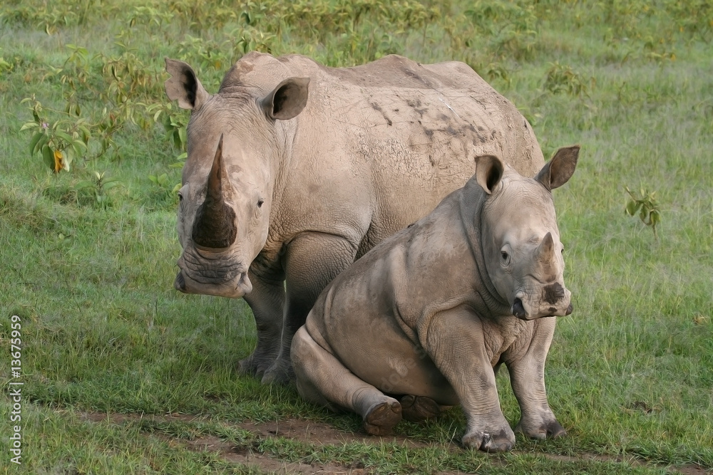 Naklejka premium proteccion materna