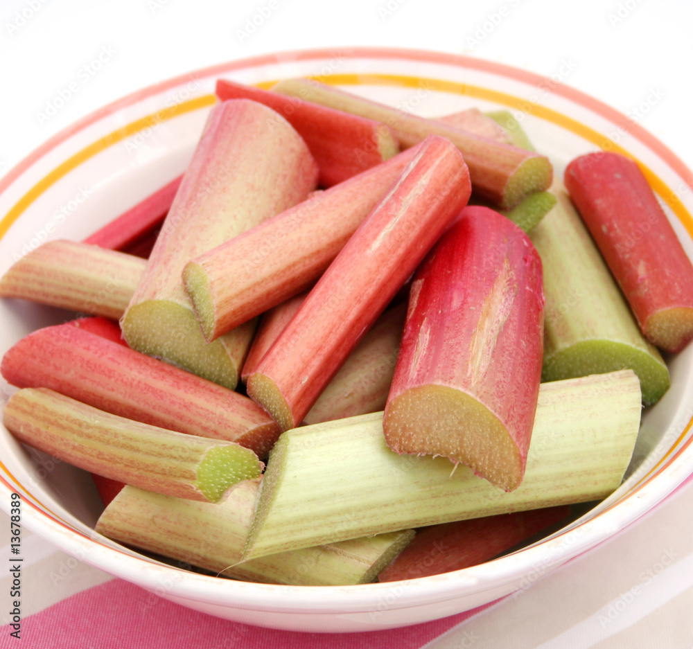 rhabarber StockFoto Adobe Stock