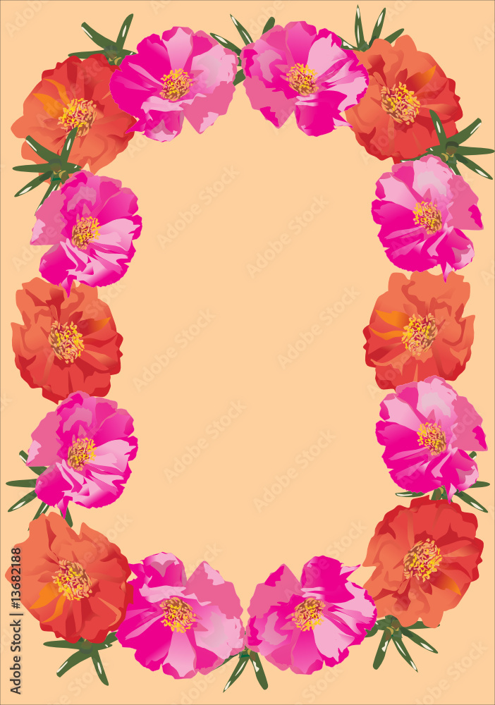 pink and orange brier frame