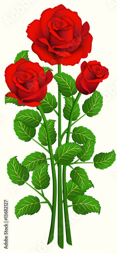Three red roses #13682127