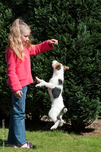Springender Jack Russell Terrier © Harald07