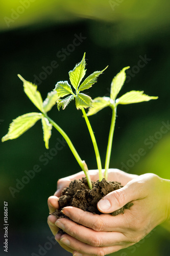 nature protégée 2