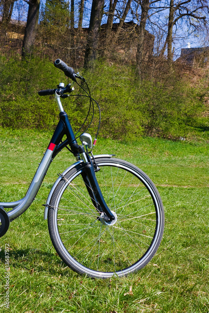 bicycle on the grass, spring