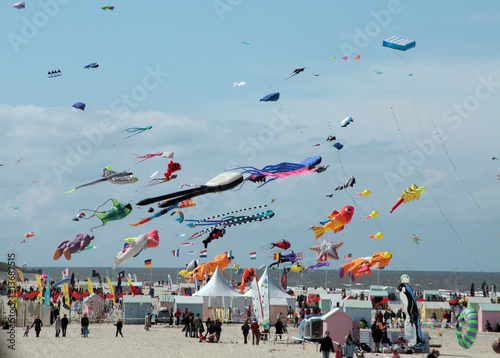 Cerfs volants