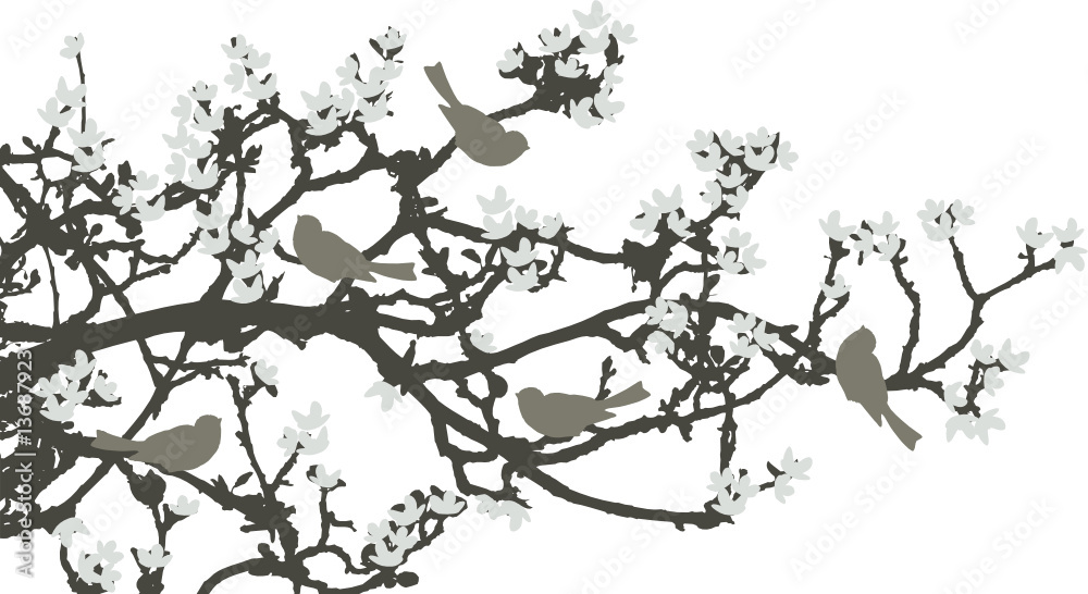 Fototapeta premium Floral Background, birds
