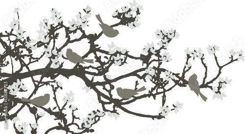 Floral Background, birds