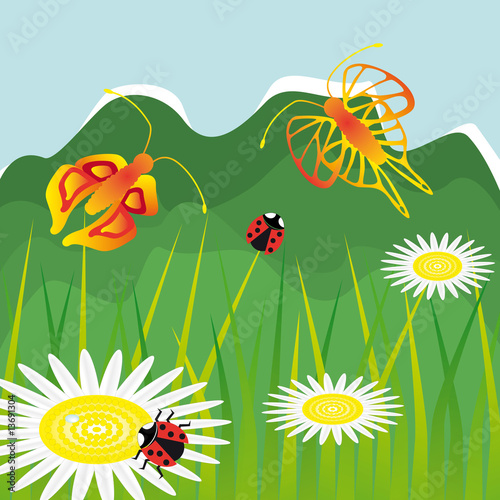 landscape with daisy flowers butterfly and ladybug