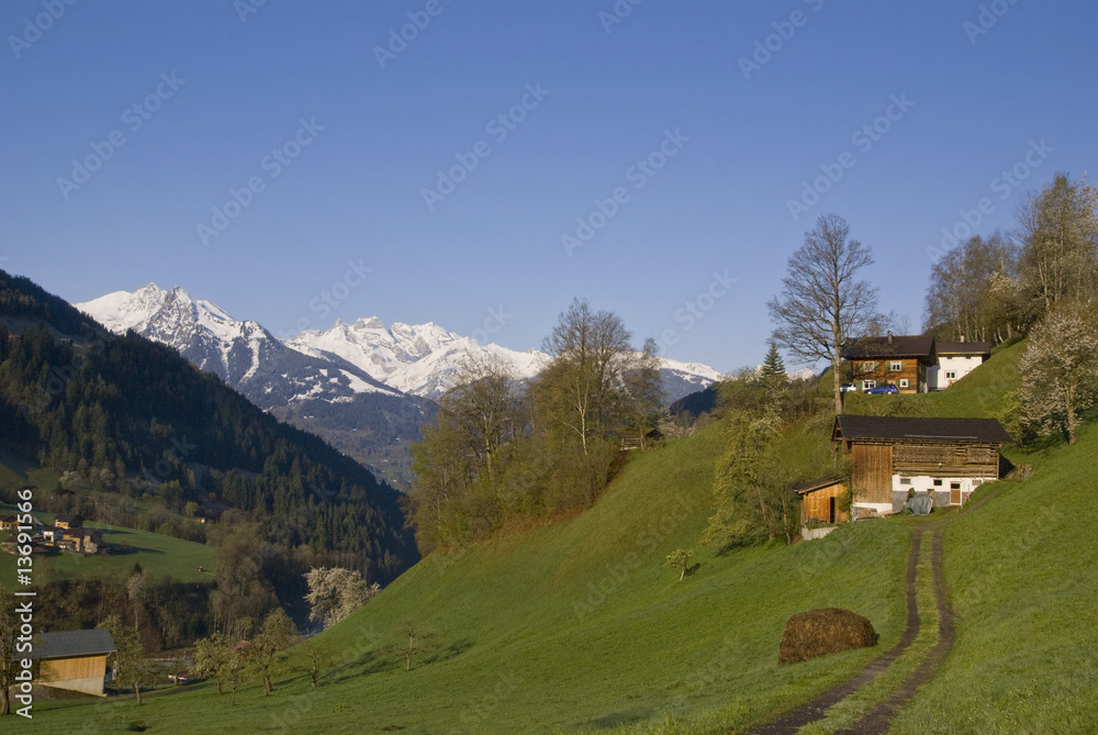 Frühlingserwachen in den Bergen