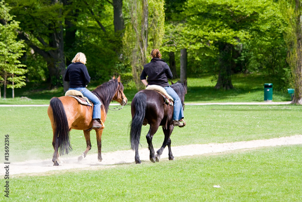 Reiten Reiten