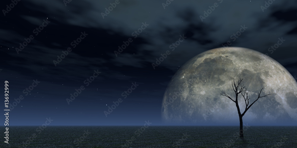 Naklejka premium vollmond