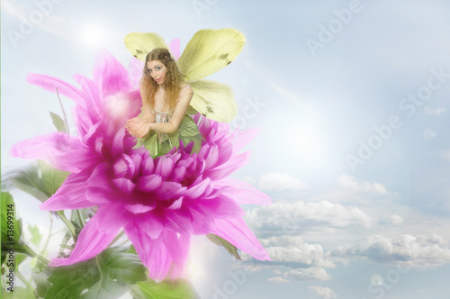 Fotótapéta Fairy and Flower