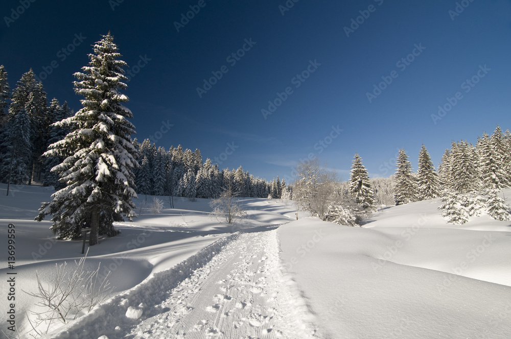 Obraz premium Schnee_7