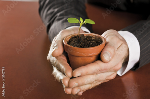 Hände halten Blumentopf mit kleiner Pflanze
