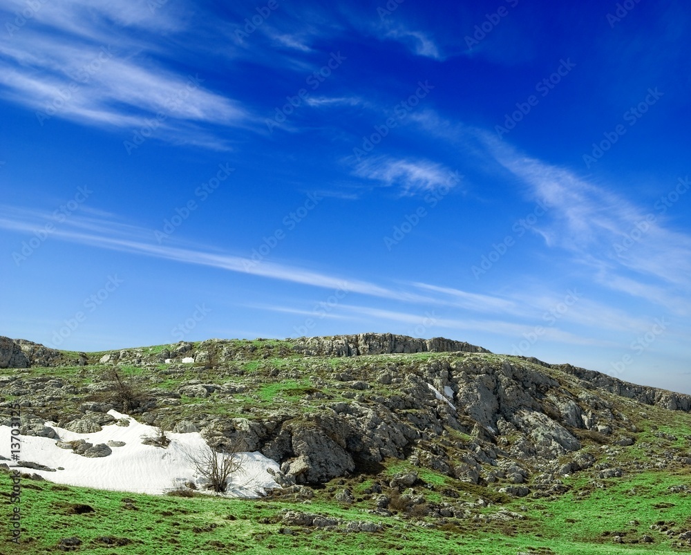 Fototapeta premium green spring hills
