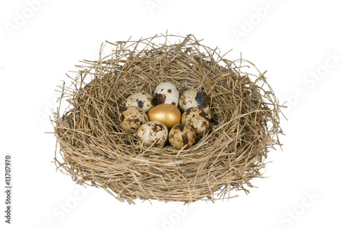 gold egg in a group of bird eggs in nest on white