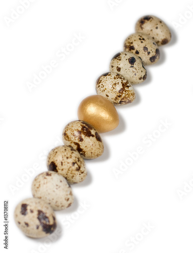 gold egg in a row of bird eggs on white