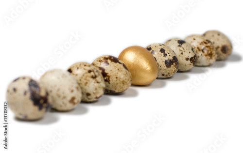 gold egg in a row of bird eggs on white