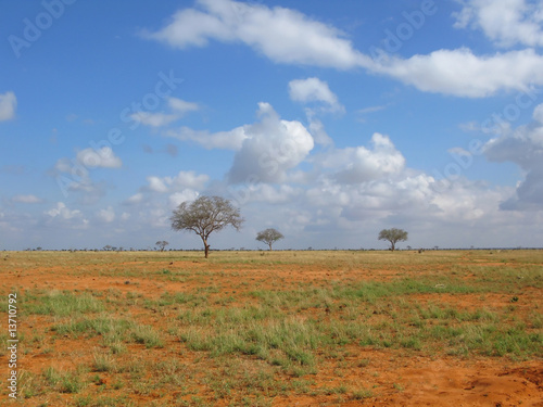 Photos Sconfinata savana africana